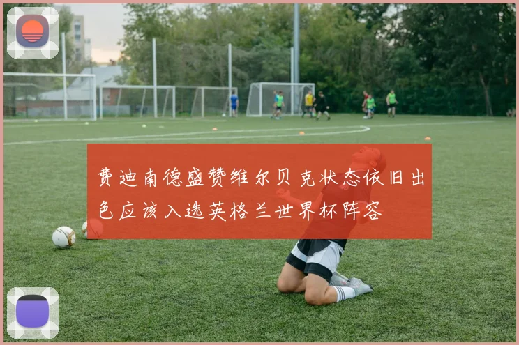 费迪南德盛赞维尔贝克状态依旧出色应该入选英格兰世界杯阵容