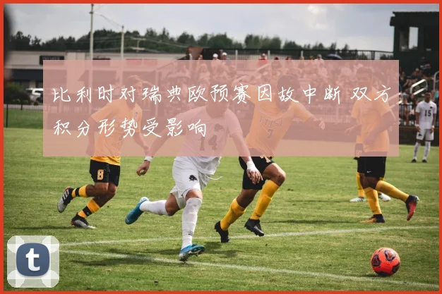比利时对瑞典欧预赛因故中断 双方积分形势受影响