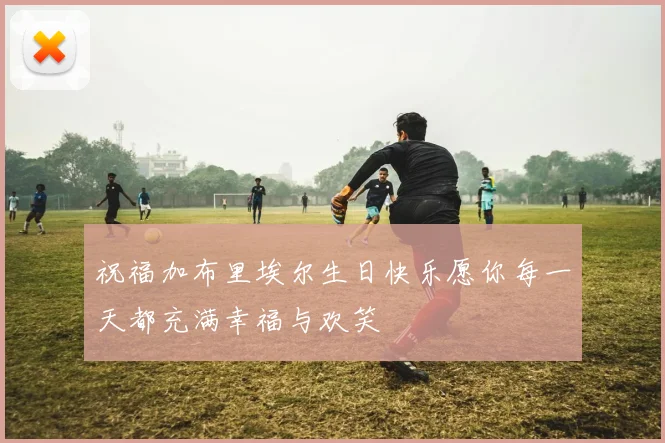 祝福加布里埃尔生日快乐愿你每一天都充满幸福与欢笑