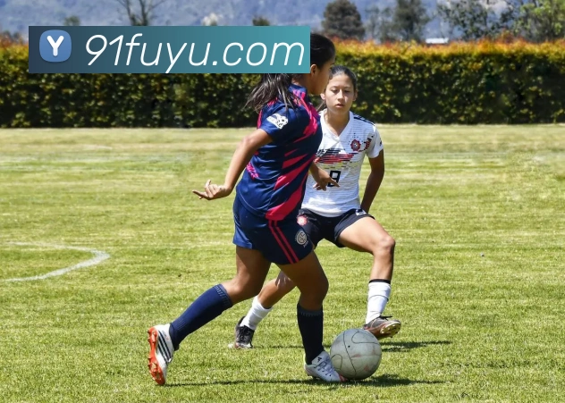 九游9官网平台生态图